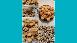 Камиль, 5 - Печенье орешки